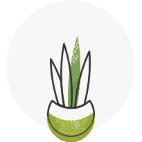 Agricultural Production